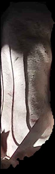 Crop