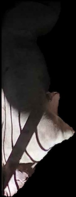Crop