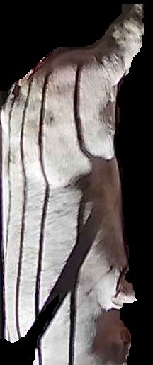 Crop