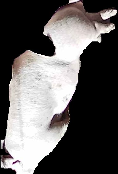 Crop
