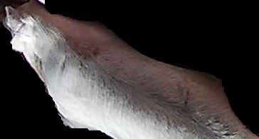 Crop