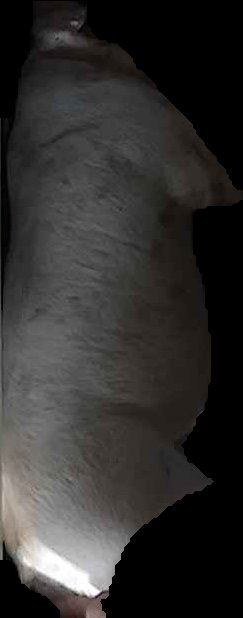 Crop