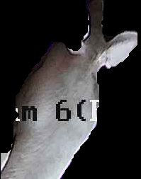 Crop