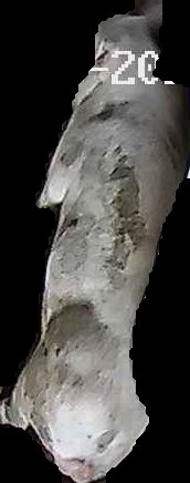 Crop