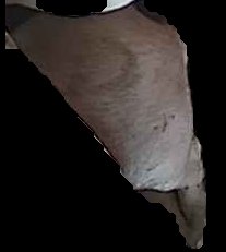 Crop