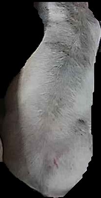 Crop