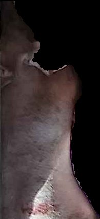 Crop