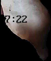 Crop