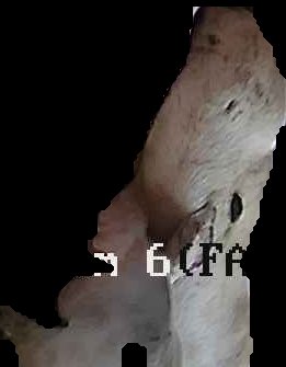 Crop