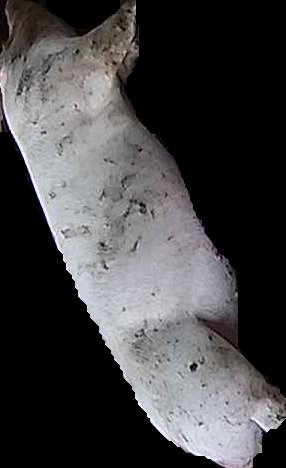 Crop