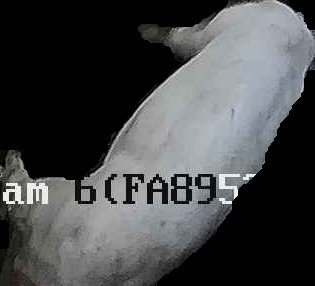 Crop