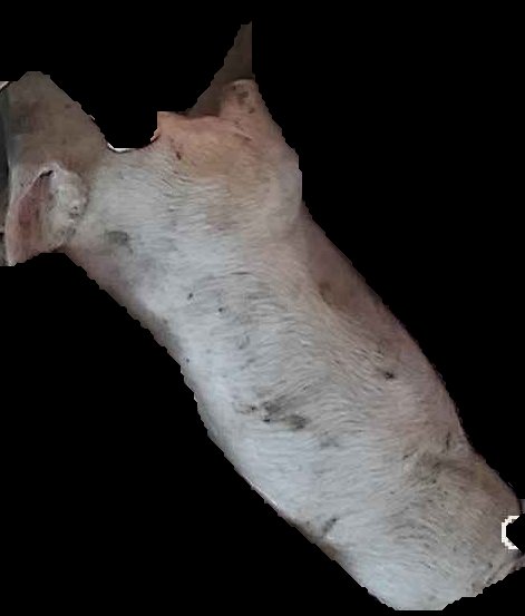 Crop