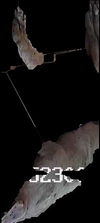 Crop
