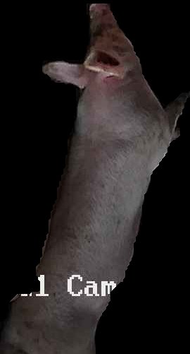 Crop