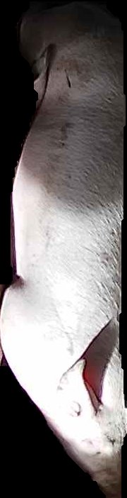 Crop