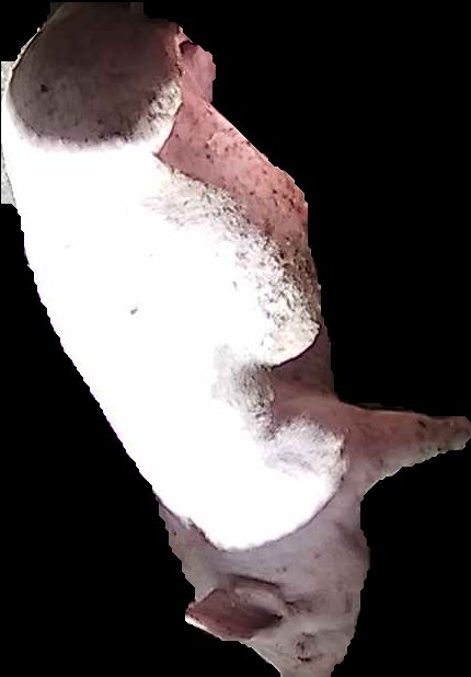 Crop