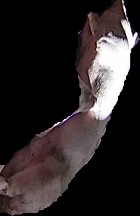 Crop