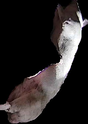 Crop