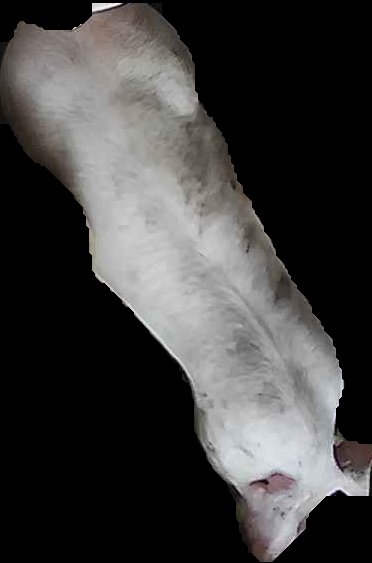 Crop