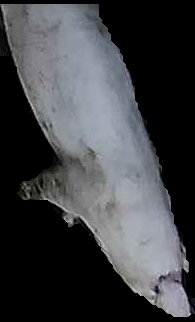 Crop