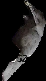 Crop
