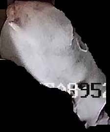 Crop
