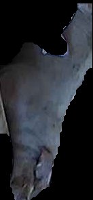 Crop