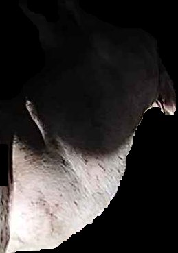 Crop