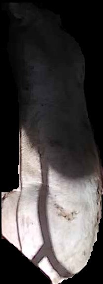 Crop