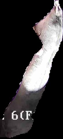 Crop
