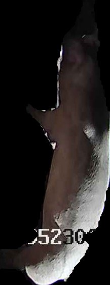 Crop