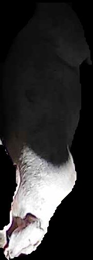 Crop