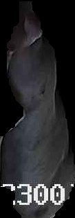 Crop