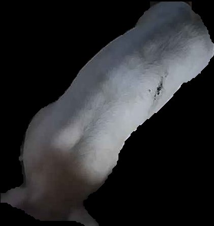 Crop
