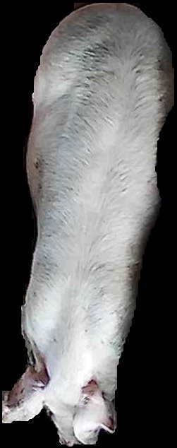 Crop