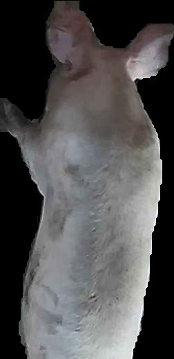 Crop
