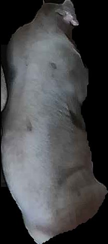 Crop