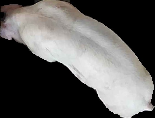 Crop