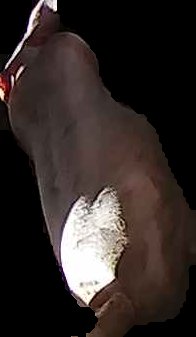 Crop