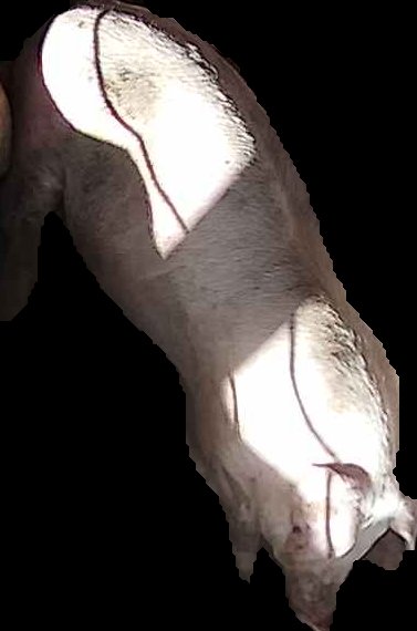 Crop