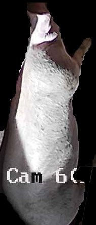 Crop