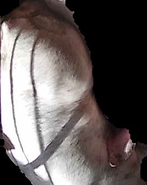 Crop