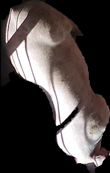 Crop