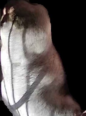 Crop