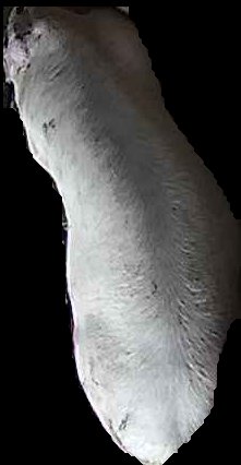 Crop