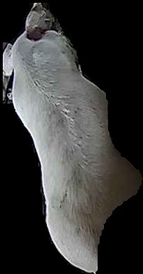 Crop