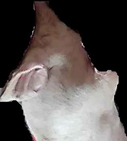 Crop