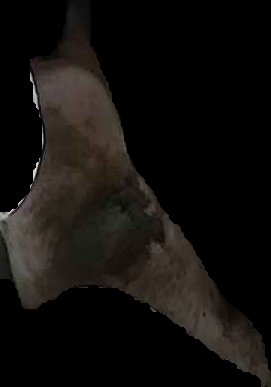 Crop