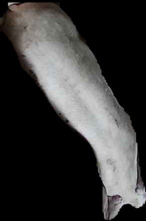 Crop
