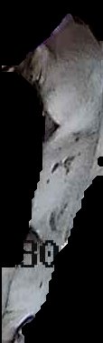 Crop